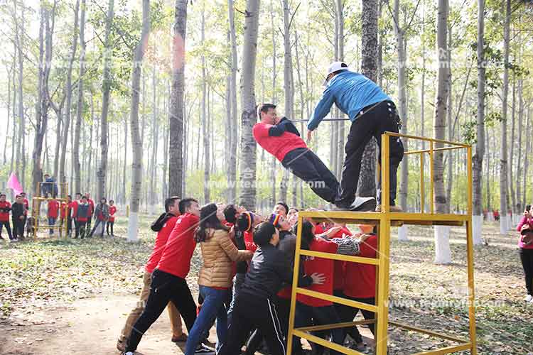 团建项目：信任背摔