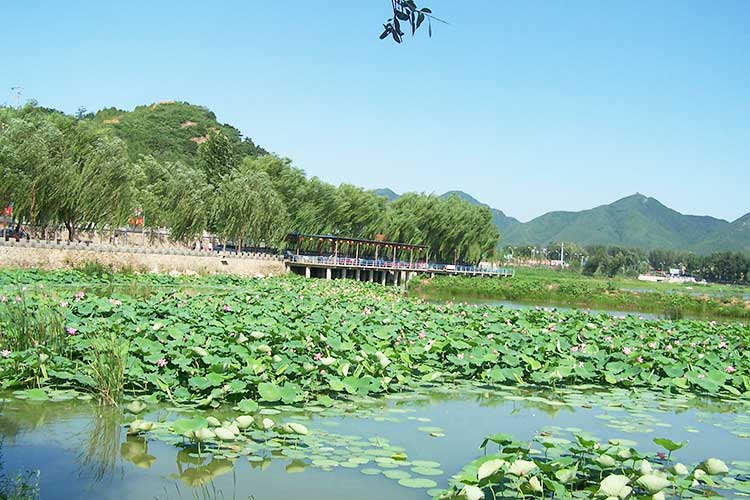 怀柔团建基地：红螺湖(hú)鸟岛景區(qū)